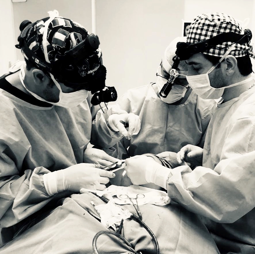 Ensino e pesquisa em Rinoplastia